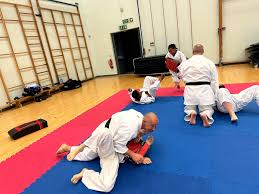Image result for Ynys Mon Shukokai Karate Club, North Wales