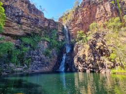 Image result for Litchfield Saracens