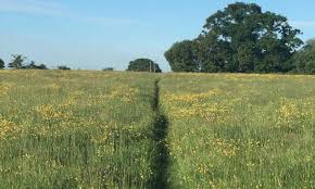 Image result for Broughton Gifford Bowls Club