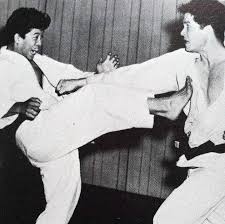 Image result for Excalibur Shotokan Karate Club