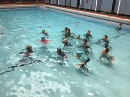 Image result for Belgrave Swimming Club