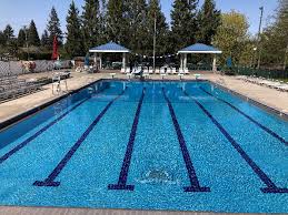 Image result for Odiham swim club