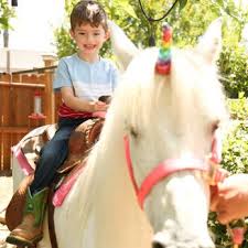 Image result for Winchester Riding Club