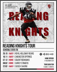 Image result for Reading Knights