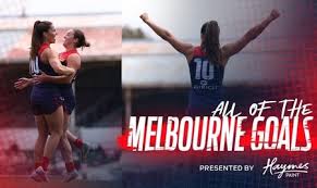 Image result for Wandsworth Demons