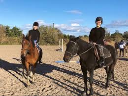Image result for Reading University Riding Club