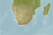 Image result for Pseudomyxus capensis