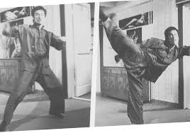Image result for Somerset Jeet Kune Do