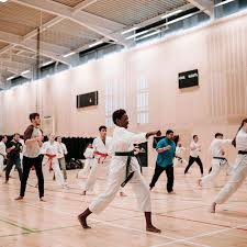 Image result for Hull University Students Badminton Club