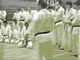 Image result for Caversham Karate Club SSKA