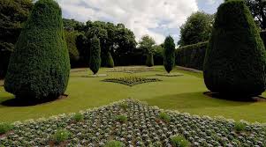 Image result for Dirleton Bowling Club