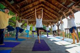 Image result for Affiliated Sivananva Yoga Teacher