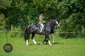 Image result for Chobham and District Riding Club