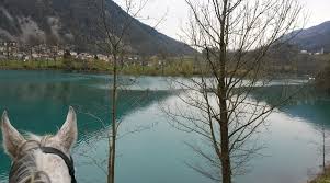 Image result for Lakes Riding Club