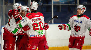 Image result for Cardiff Devils