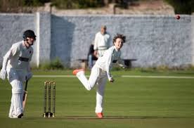Image result for Bere Regis Cricket Club