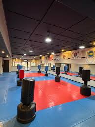 Image result for America's Best Karate