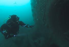 Image result for Plymouth Aquanauts