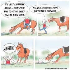 Image result for Woodhill Riding Club