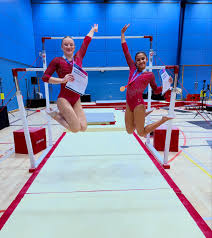 Image result for Pinewood Gymnastics Club