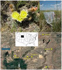 Image result for Garstang Ttc