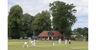 Image result for Wrecclesham Cricket Club