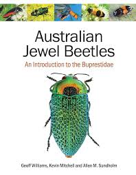 Attēlu rezultāti vaicājumam “Buprestidae”