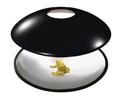 Image result for mirascope