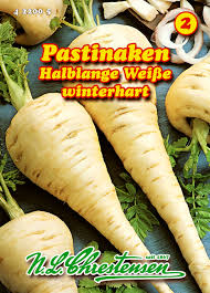 Image result for Pastinake