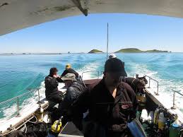 Image result for Reading Bsac