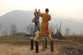 Image result for Chat Ying Kuen Kung Fu Club