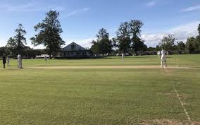 Image result for Old Dorkinian Cricket Club
