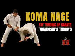 Image result for British Karate Shunen Jutsu