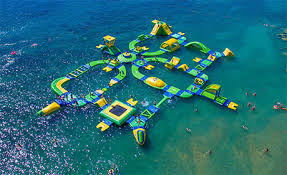 Image result for Swindon Amateur Swimming Club