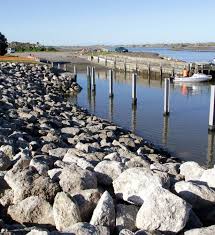 Image result for ALBION SEA FISHING CLUB