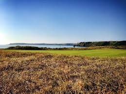 Image result for Tenby Golf Club