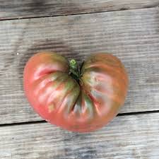 Afbeeldingsresultaat voor carbon tomato