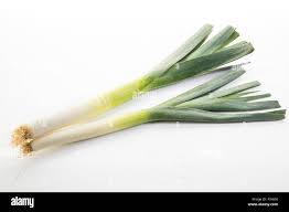 Image result for Porree