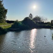 Image result for Dunham Massey Angling Club