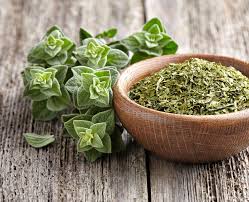 Image result for Oregano