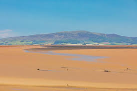 Image result for Solway