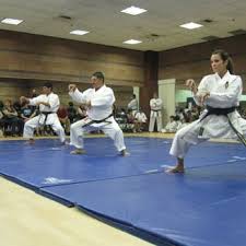 Image result for GoJu-Kai Karate Club