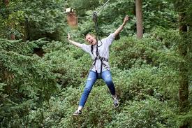 Image result for The Go Ape Experience (Delamere Forest)