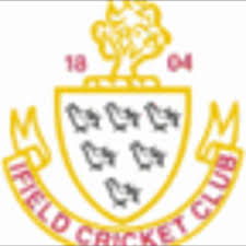 Image result for Ifield Cricket Club