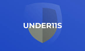 Image result for Old Northamptonians Cc