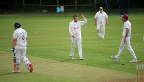 Image result for Lewdown Cricket Club