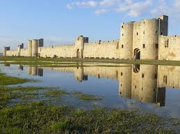 Image result for parque natural de camargue