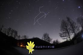 「さよなライオン」の画像検索結果