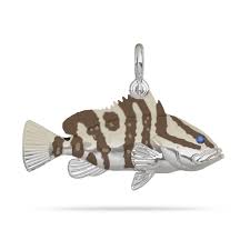 Image result for Epinephelus striatus