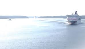 Image result for keltas vilnius